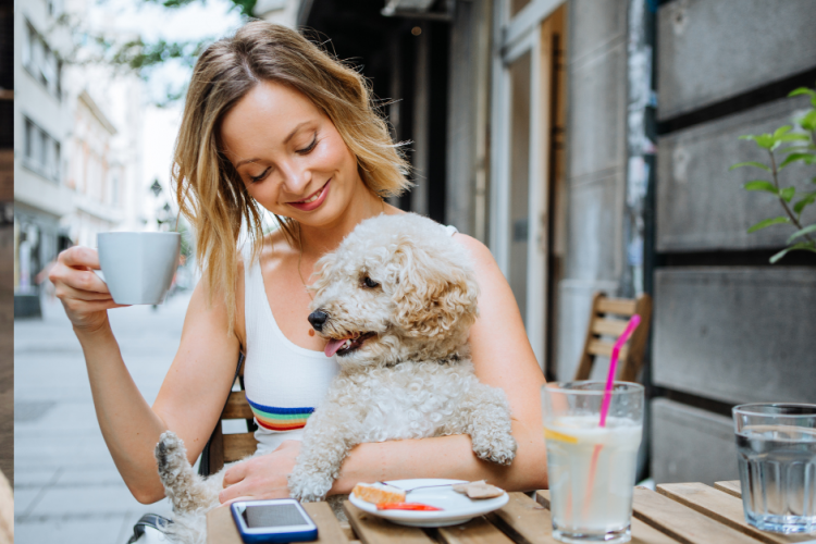5 Great PetFriendly Gulf Shores Restaurants Coastal View Vacations